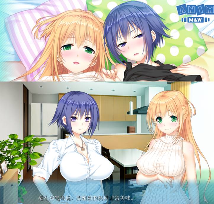 [精选ADV][ANIM] 姐姐×姐姐!我喜欢哪个#姉×姉! どっちが好きどっちも  GPT汉化硬盘版+全CG存档