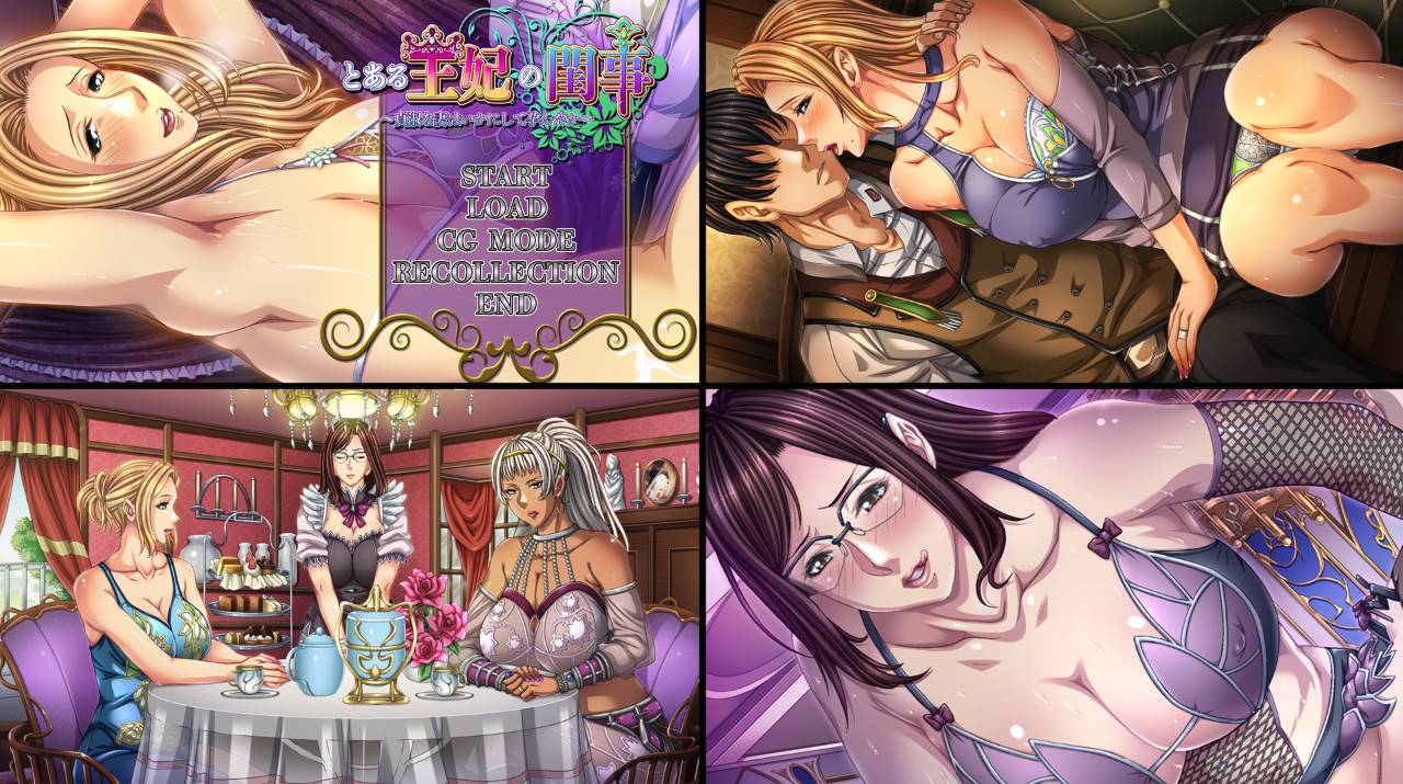 [精选ADV/NTL][平安亭] とある王妃の閨事～貞淑な妻はいかにして孕んだか  GPT汉化硬盘版+全CG存档