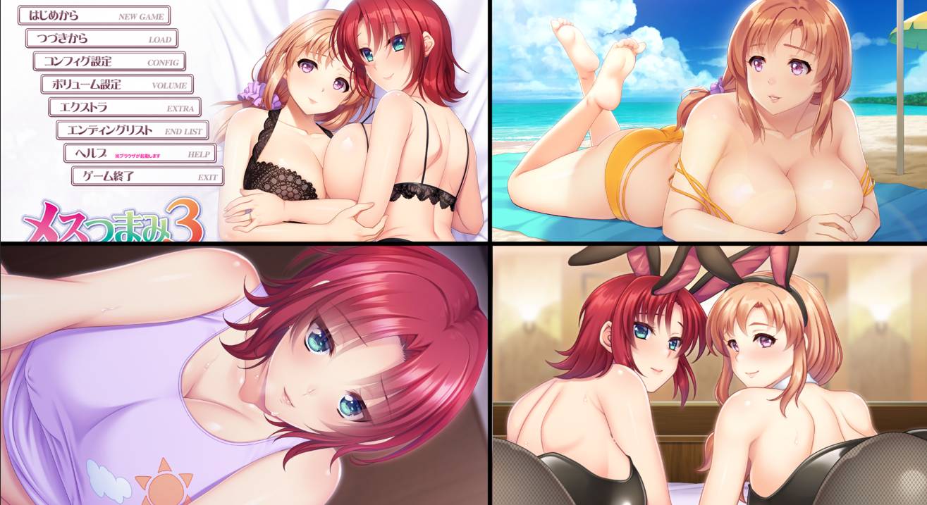 [精选/动态/ADV][ANIM] メスつまみ3 ～しっかり年下妻とおっとり年上妻とのエロハメ肉欲性活  GPT汉化硬盘版+全CG存档