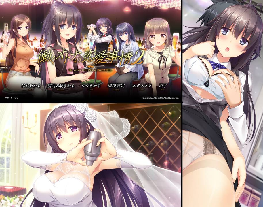 [精选ADV][akabeeSoft3] 働くオトナの恋愛事情 2   GPT汉化硬盘版+全CG存档