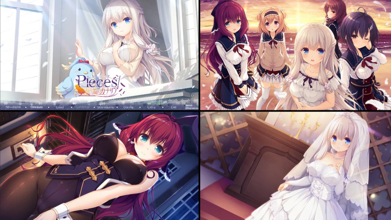 [精选ADV][Whirlpool] 候鸟的梦 FD#pieces/揺り籠のカナリア  claude3汉化硬盘版+全CG存档