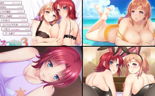 [精选/动态/ADV][ANIM] メスつまみ3 ～しっかり年下妻とおっとり年上妻とのエロハメ肉欲性活  GPT汉化硬盘版+全CG存档