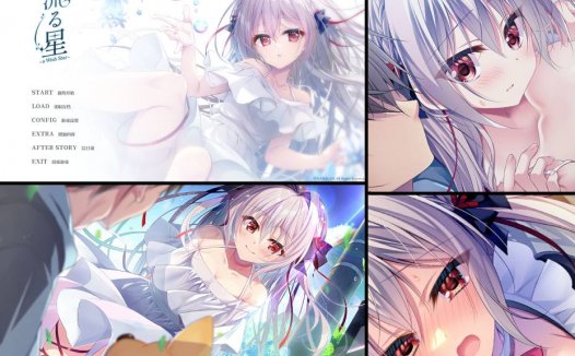 [精选ADV][NANACAN] 流る星 a wish star  Steam官中硬盘版+全CG存档