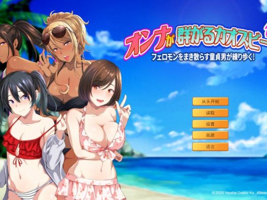 [精选ADV][Yareba Dekiru Ko] 群女乱滩齐斗艳 Steam官中硬盘版